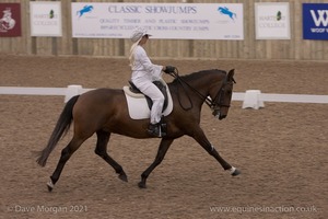 Lusitano Breed Society of Great Britain Show - Hartpury College - 27th June 2009